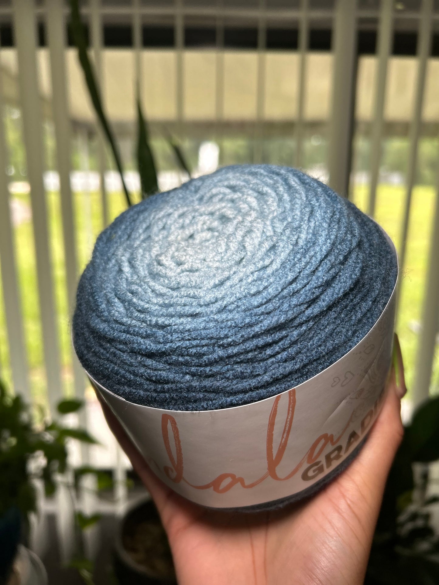 Lion Brand Mandala (Blue/Teal Gradient)